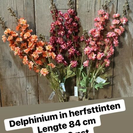 Delphinium herfst brynxz