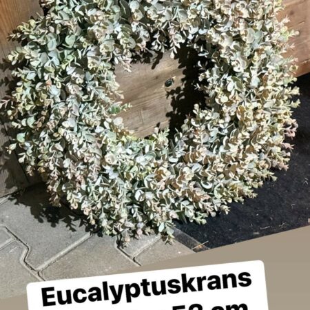 Krans eucalyptus donkerder brynxz