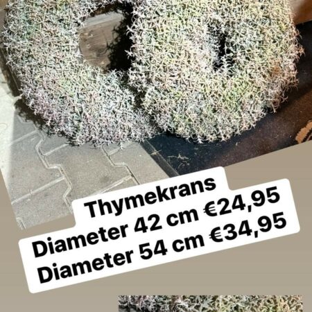 Krans thyme brynxz groot