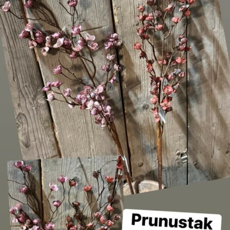 Prunustak brynxz