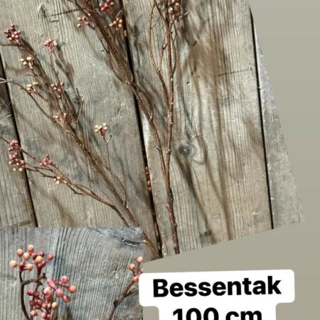Bessentak brynxz