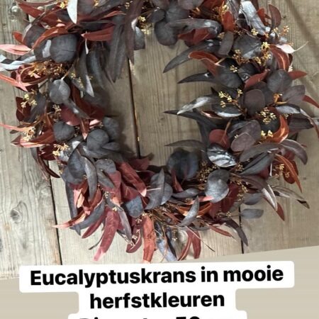 Eucalyptus krans kunst herfstkleuren