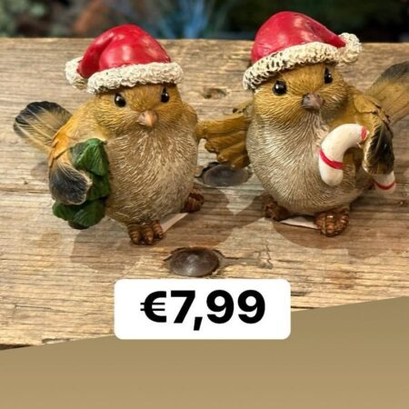 Kerst vogeltje