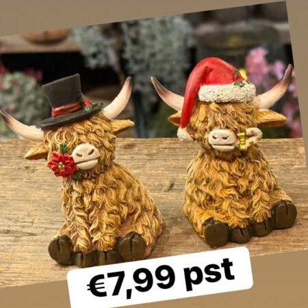 Kerst hooglander