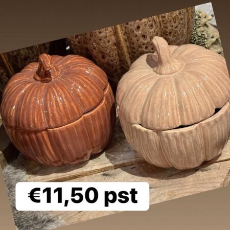 Pompoen pot