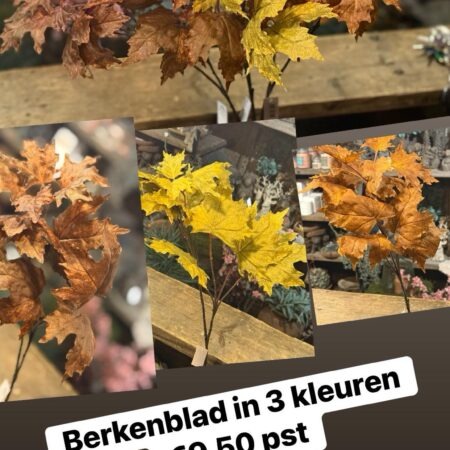 Berken blad kunst
