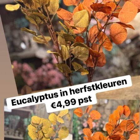 Eucalyptus kunst herfstkleuren
