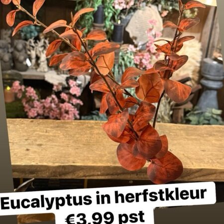 Kunst eucalyptus herfst kleur