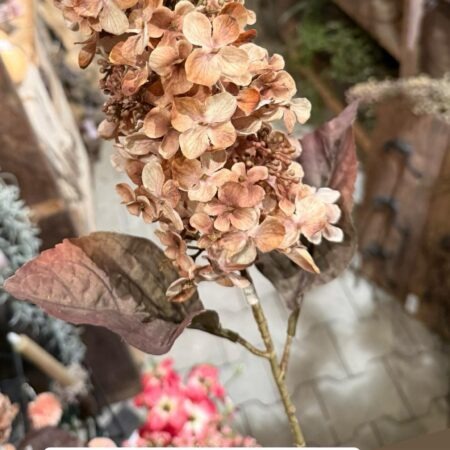 Kunst pluim hortensia crème/bruin