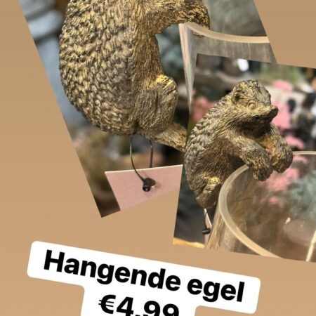 Hangende egel