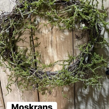 Mos krans 50cm