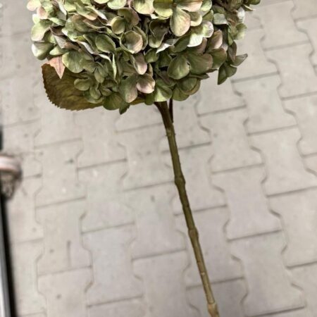 Kunst hortensia groen
