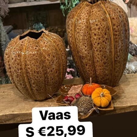 Vaas l